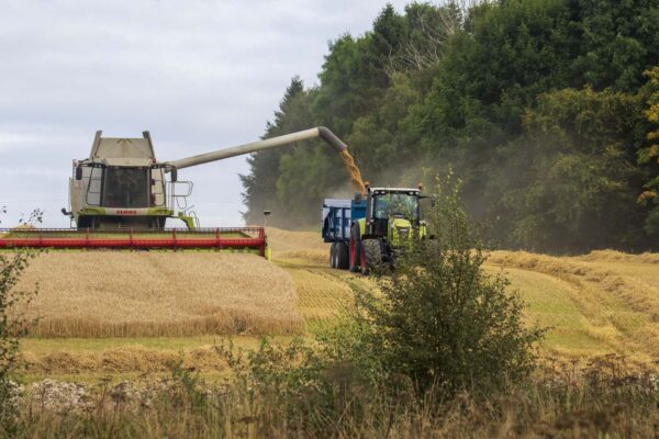 Harvesting from the land