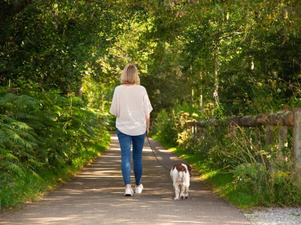 Take a tranquil walk with the dog