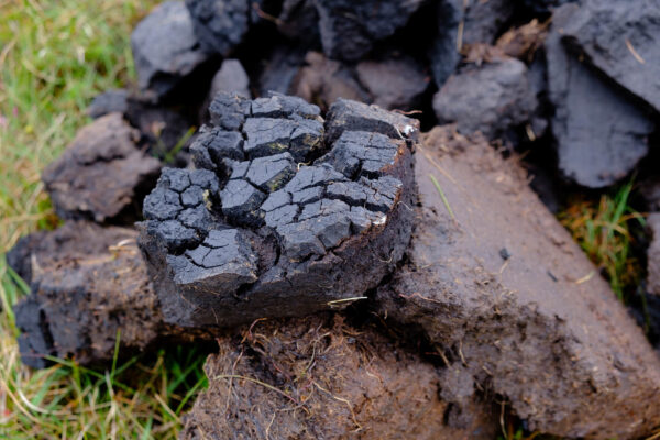 Peat