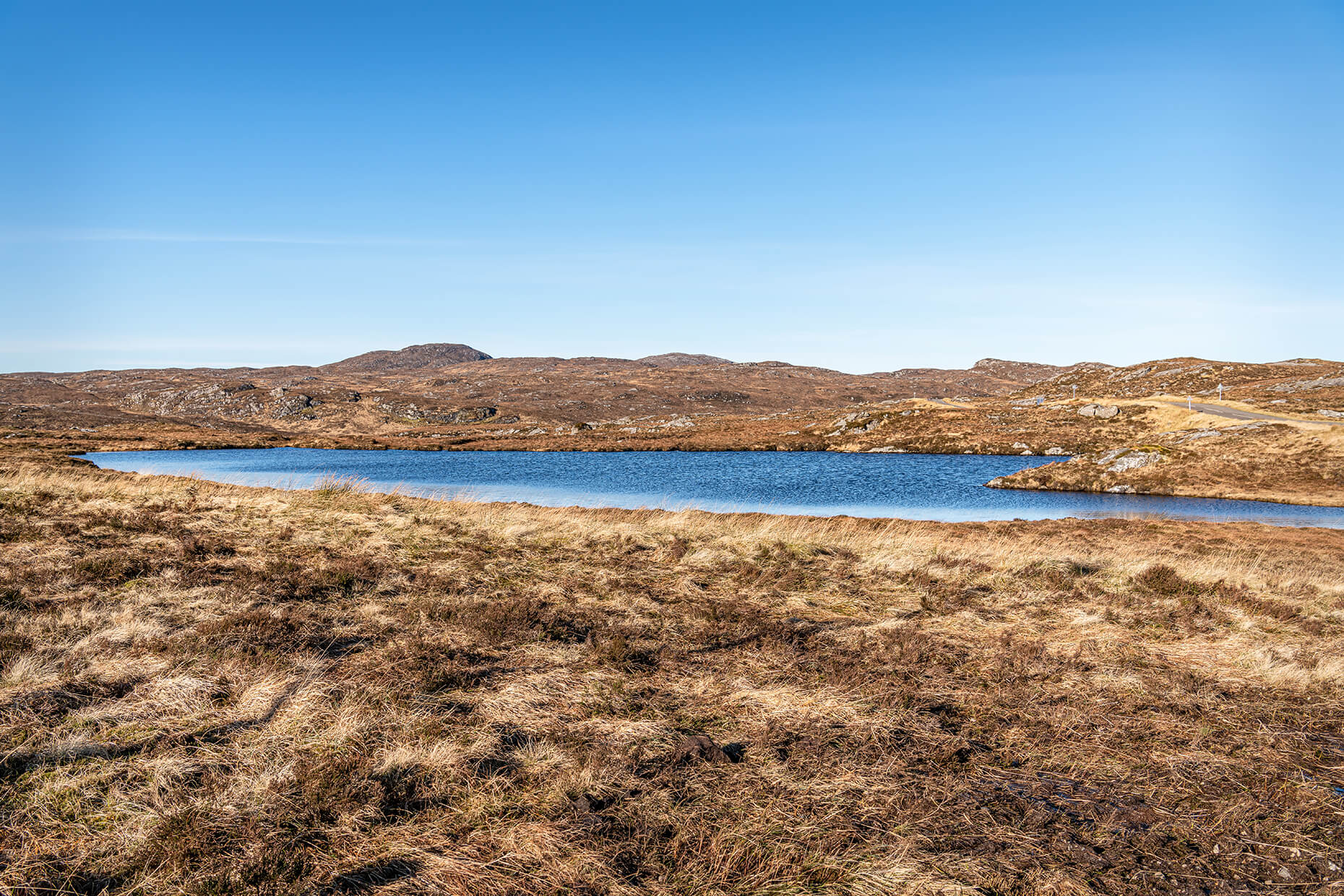 Peatlands