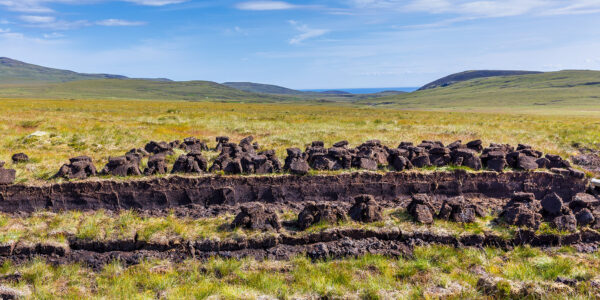Peatlands