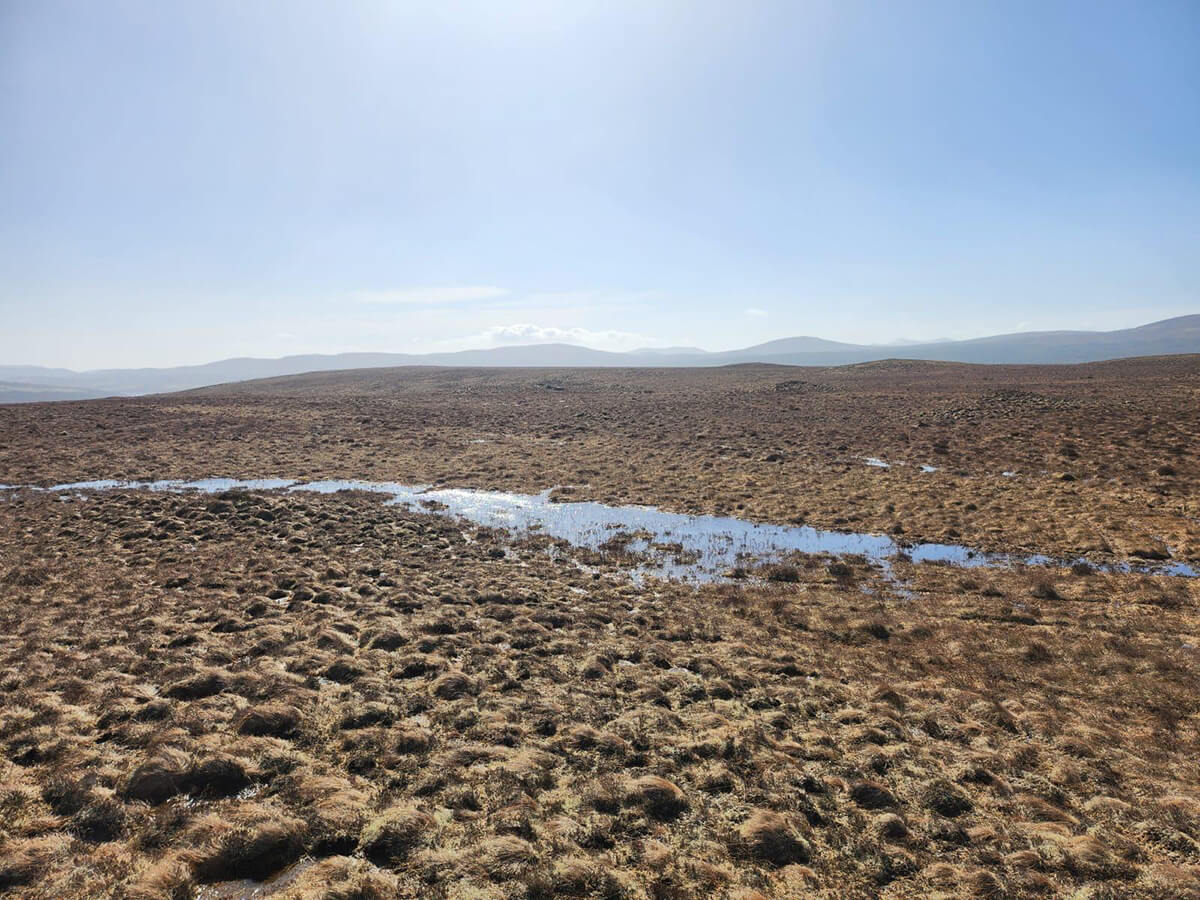 Peatlands